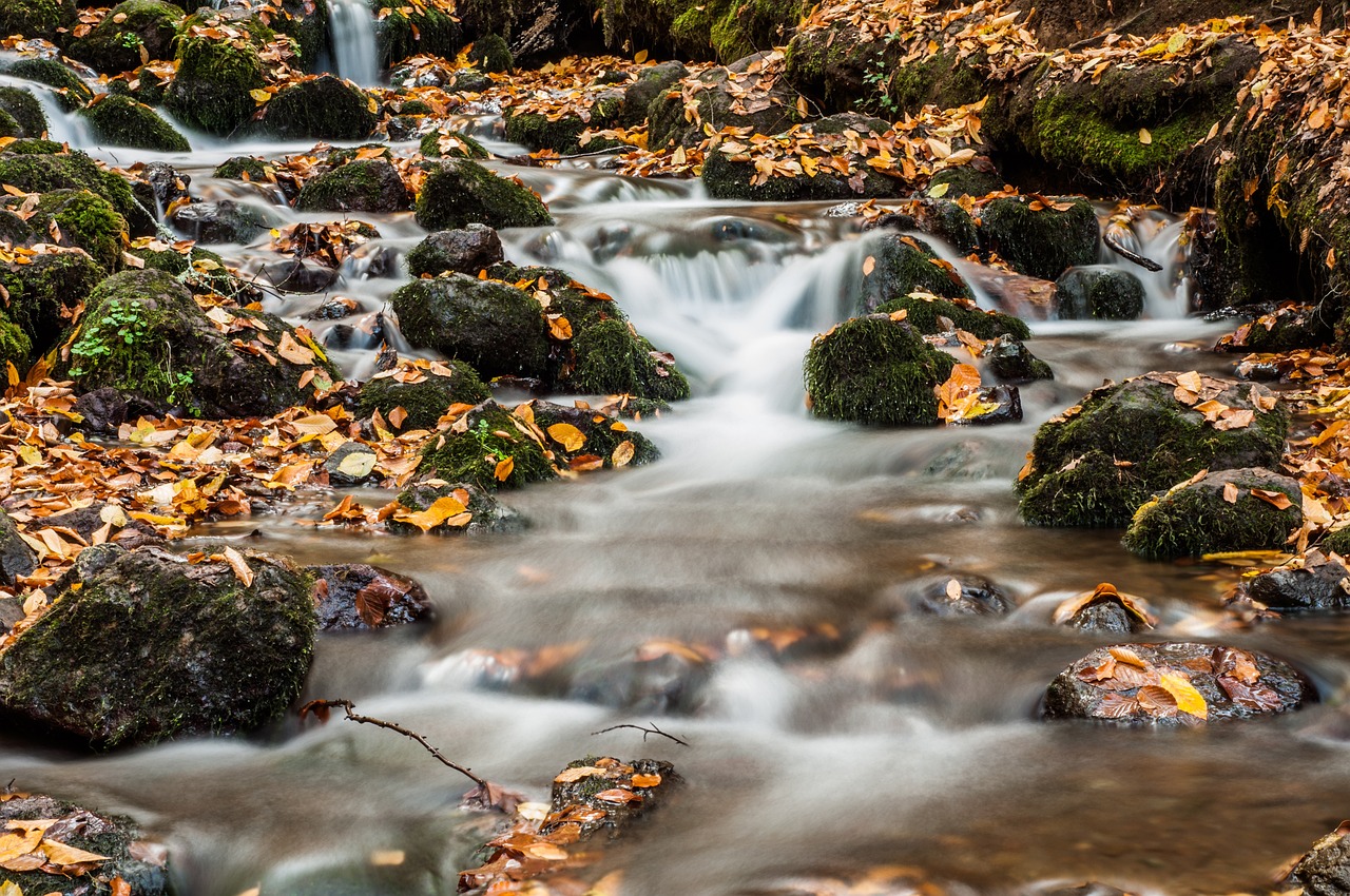 a stream running through a forest filled with lots of leaves, a tilt shift photo, by Etienne Delessert, shutterstock, water torrent background, long exposure photo, stock photo, flowing golden scarf