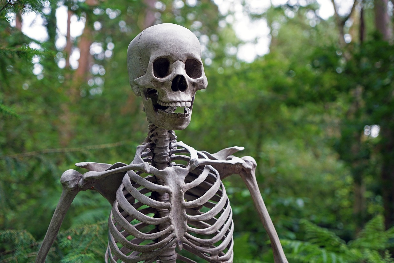 a skeleton standing in the middle of a forest, a statue, inspired by Muirhead Bone, pixabay, biomechanical open chewing mouth, ray harryhausen, looking happy, rib cage