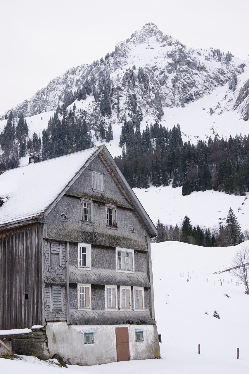 a house in the snow with a mountain in the background, a photo, inspired by Werner Andermatt, folk art, germany. wide shot, dressed in a gray, high detail photo of a deserted, very old