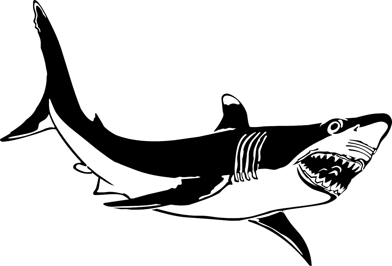 a black and white drawing of a shark, lineart, by Andrei Kolkoutine, black backround. inkscape, banner, giga