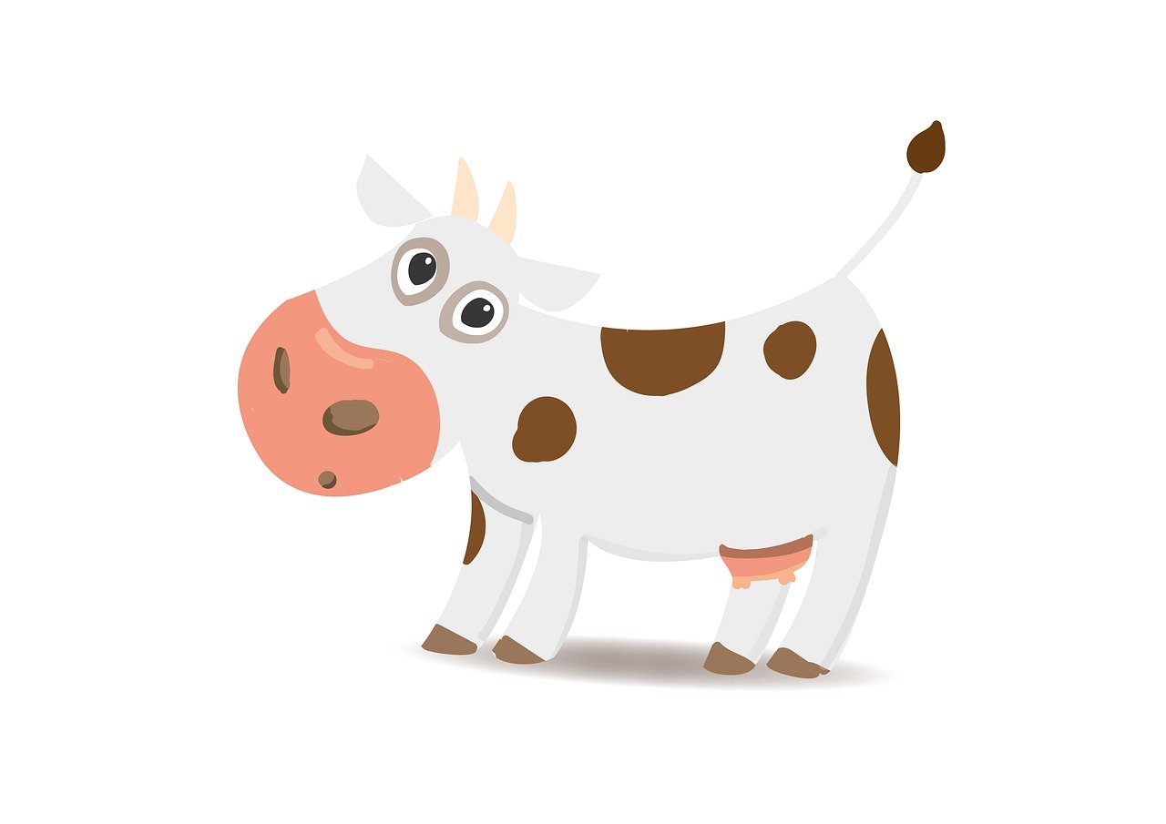a brown and white cow standing on a white surface, an illustration of, mingei, funny weird illustration, spot illustration, cartoon style illustration, cute nose