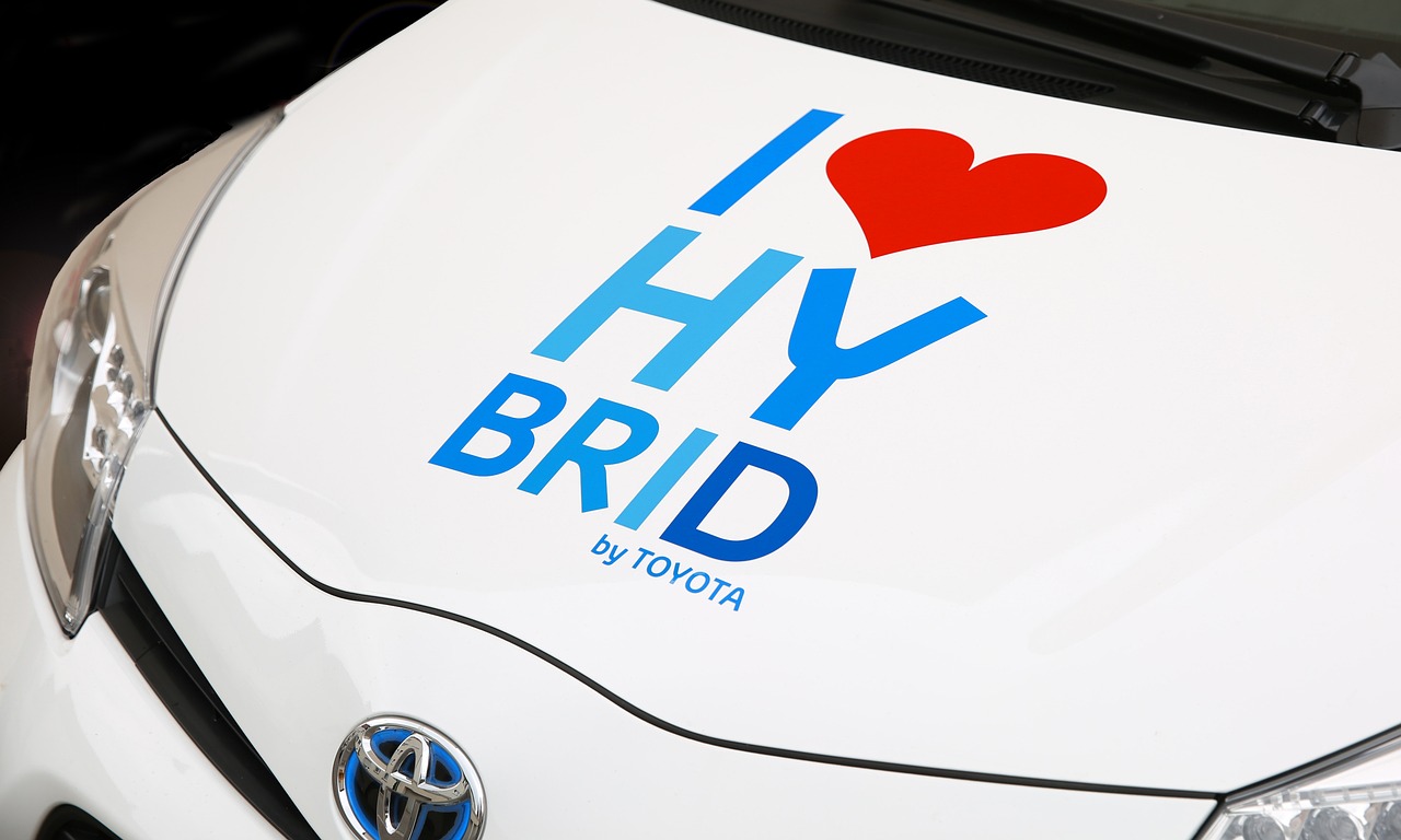 a close up of a car with a sticker on it, inspired by Johann Rudolf Byss, happening, hybrids, bride, logo has”, huhd