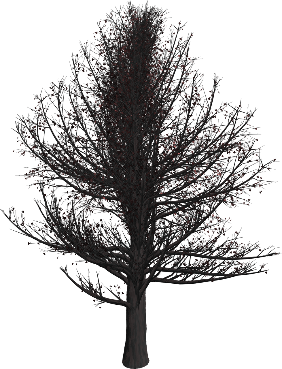 a tree with no leaves and no leaves on it, a raytraced image, by Attila Meszlenyi, polycount, conceptual art, red on black, 8k detail, cherry-blossom-tree, cloaked dark winter night