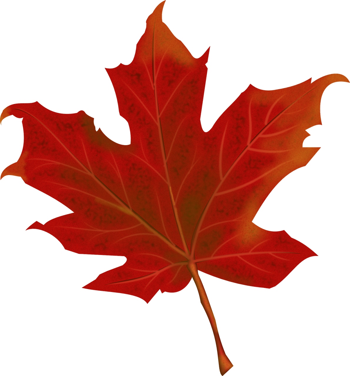 a close up of a red leaf on a black background, a digital painting, hurufiyya, maple syrup, profile picture, pumpkin, vectorized