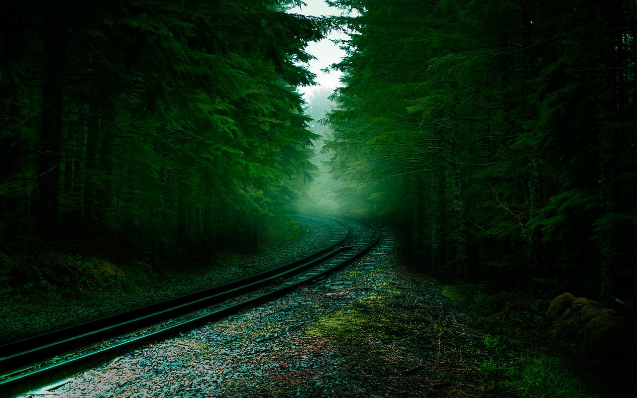 a train track in the middle of a forest, a picture, renaissance, dark green, vertical wallpaper, pacific northwest, slight fog