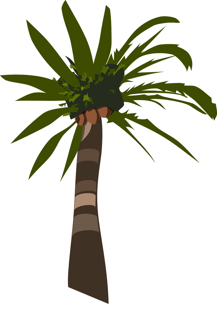 a palm tree with green leaves on a black background, a digital painting, inspired by Masamitsu Ōta, hurufiyya, tail of a lemur, brown:-2, lineless, fruit