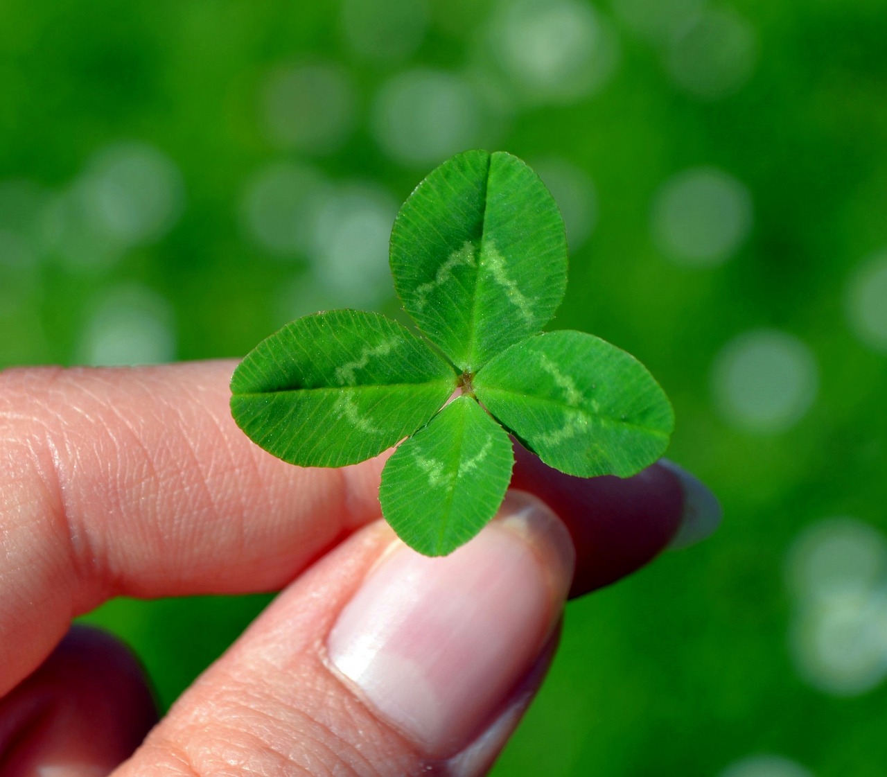 a person holding a four leaf clover in their hand, by Adam Marczyński, hurufiyya, istockphoto, very tiny, poker, 1 6 x 1 6