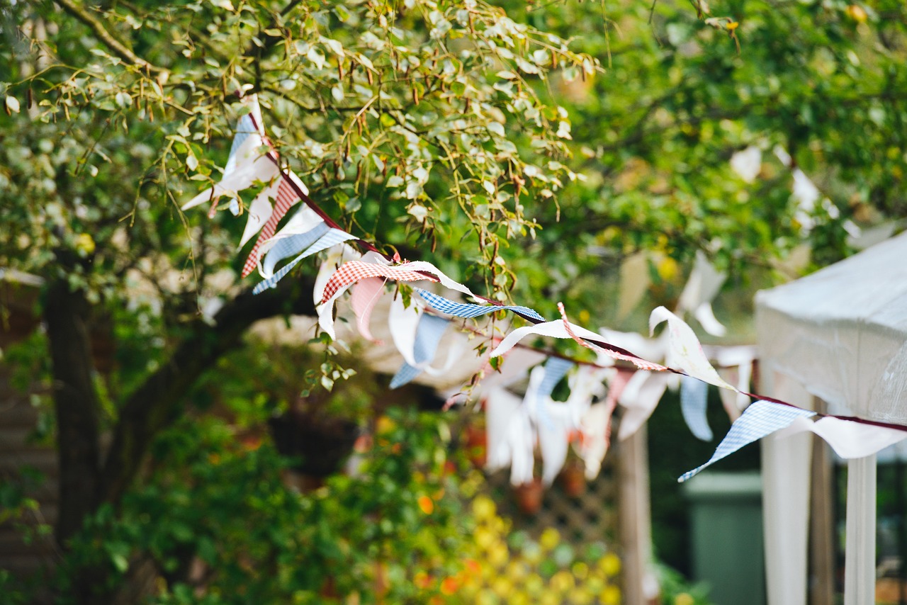 a bunch of bunting flags hanging from a tree, by Richard Carline, pexels, 1 6 x 1 6, garden environment, fuji 5 0 r 3 5 mm, usa-sep 20