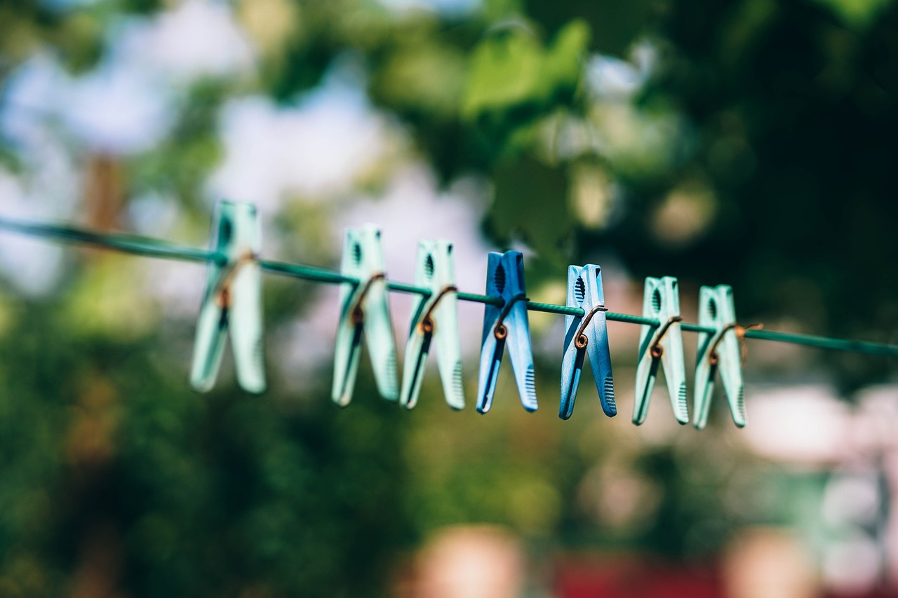 a line of clothes pegs hanging on a clothes line, pexels, light green and deep blue mood, photo 85mm, greenery, drip