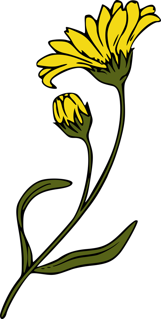 a yellow flower on a black background, inspired by Johannes Martini, art nouveau, cartoonish and simplistic, a tall, silhoutte, picking up a flower