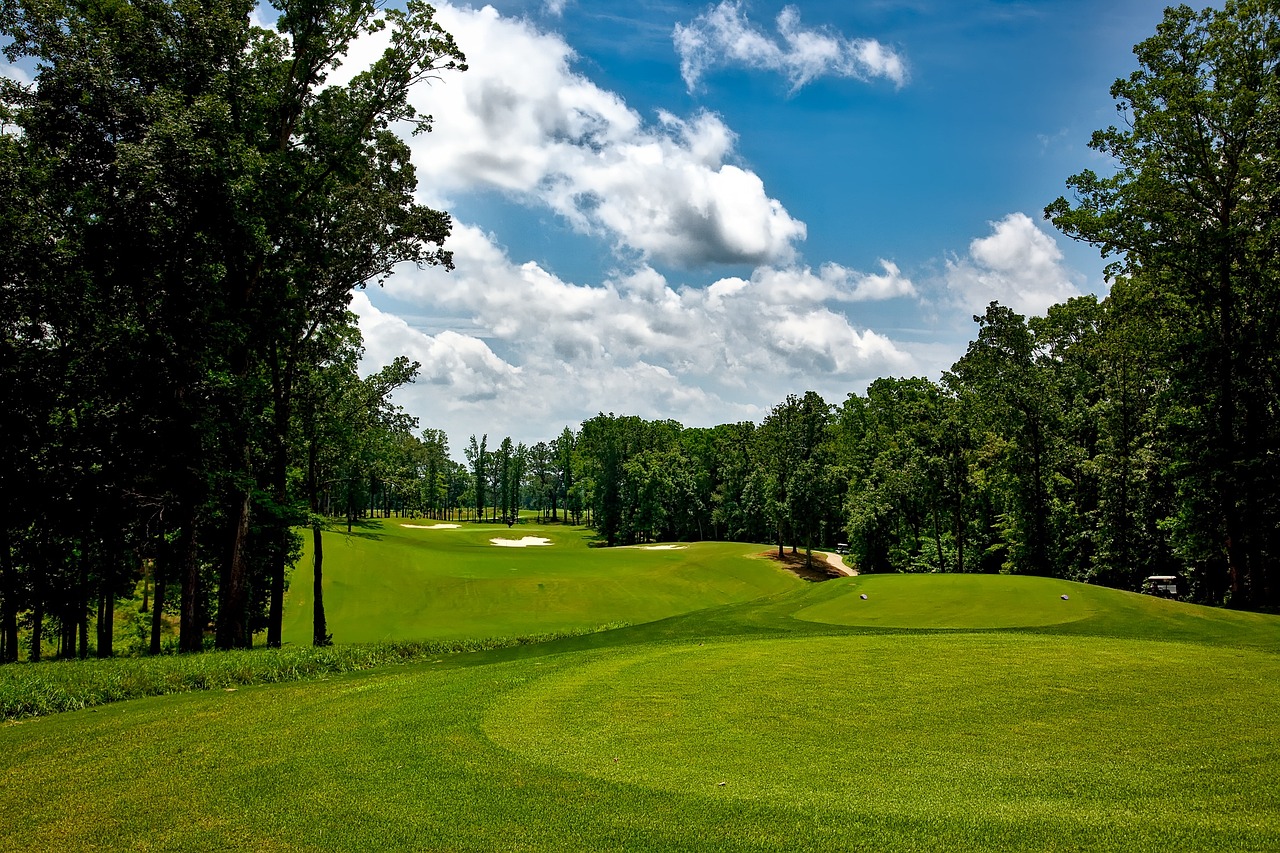 a golf course surrounded by trees on a sunny day, by Tom Carapic, baroque, memphis, breathtaking composition, hoang lap, outdoor photo