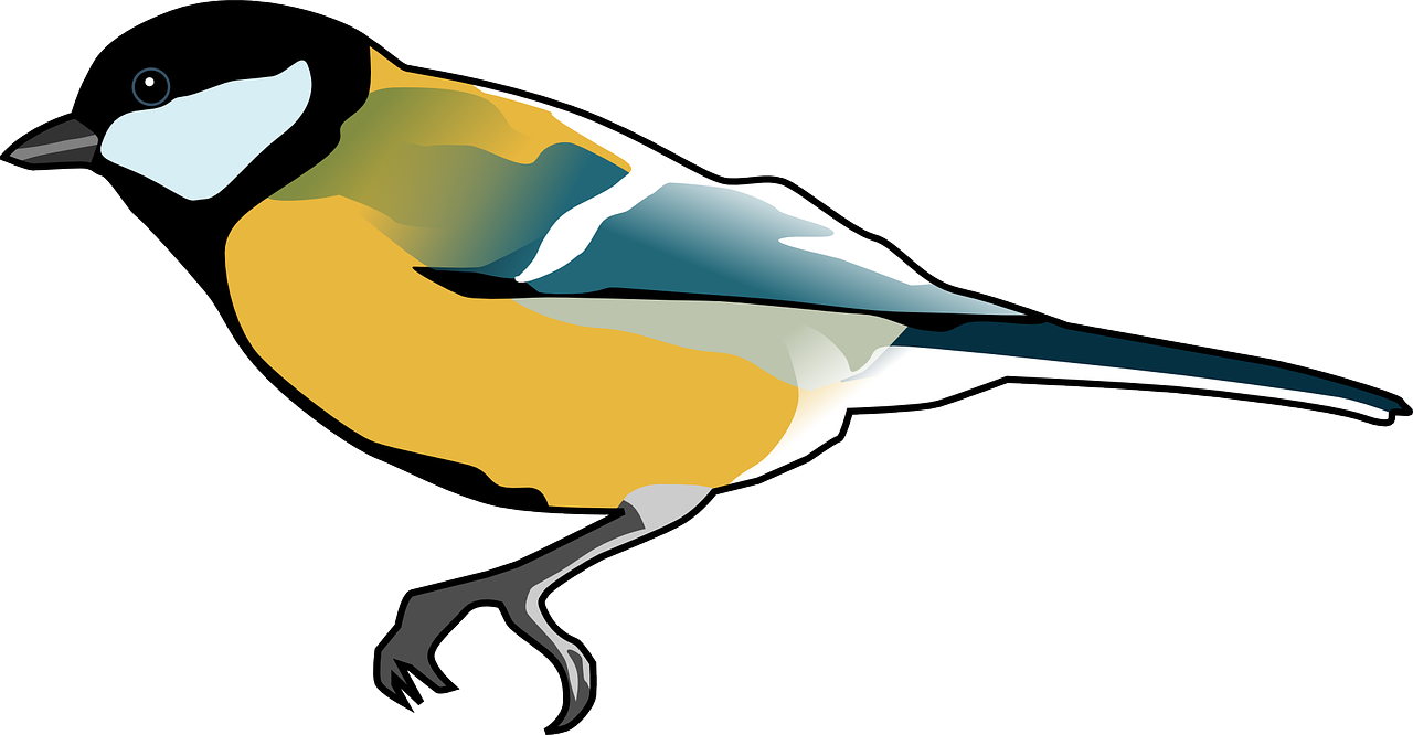 a blue and yellow bird on a black background, an illustration of, pixabay, elbow, high res photo, side view centered, vectorized