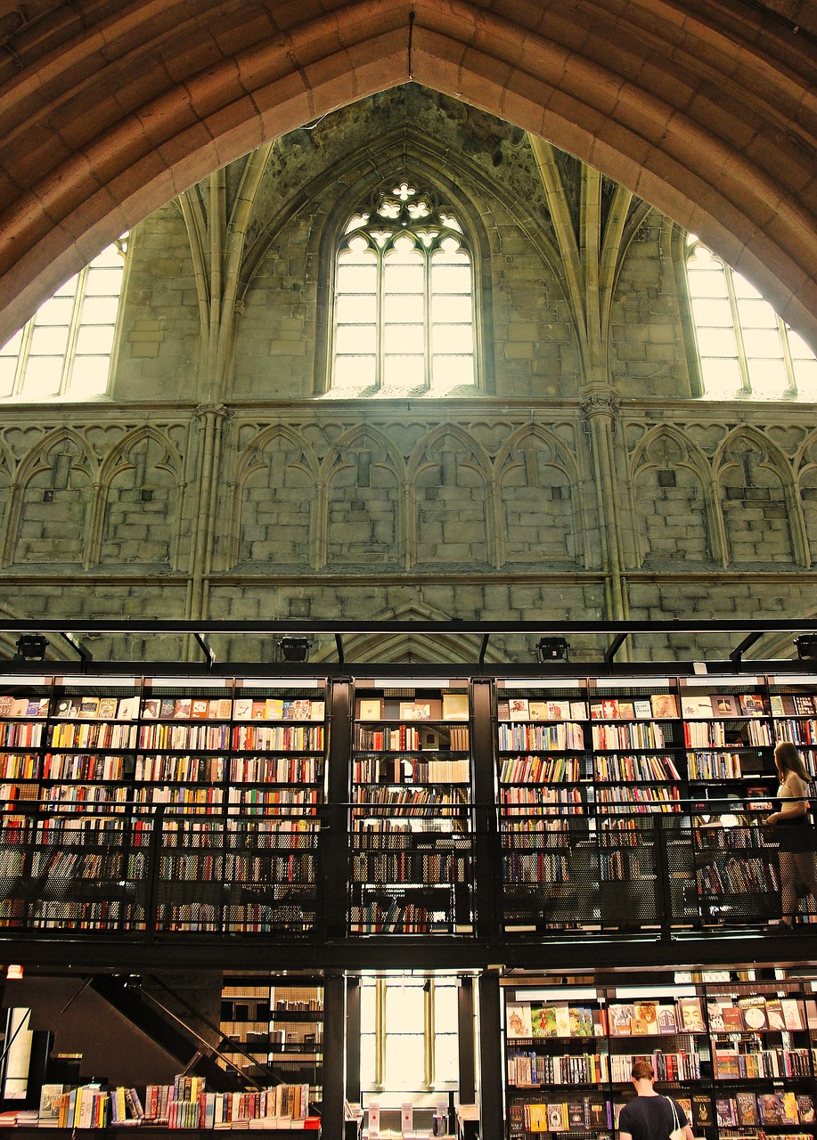 a large library filled with lots of books, by Adriaen Hanneman, flickr, mystical cathedral windows, flying buttresses, belgium, vinyl