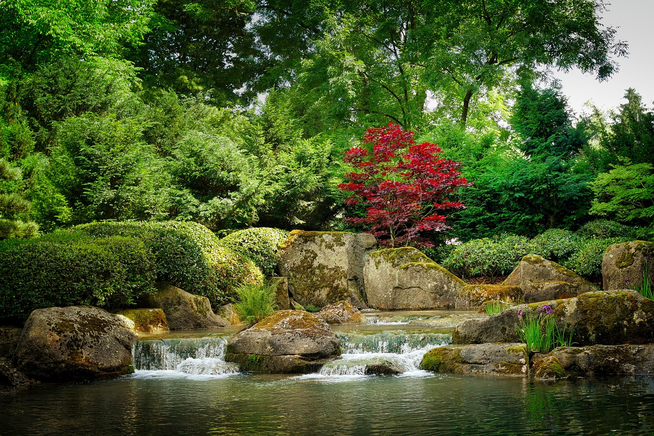 a small waterfall running through a lush green forest, inspired by Saitō Kiyoshi, shutterstock, in red gardens, berlin park, high resolution!!, pond scene