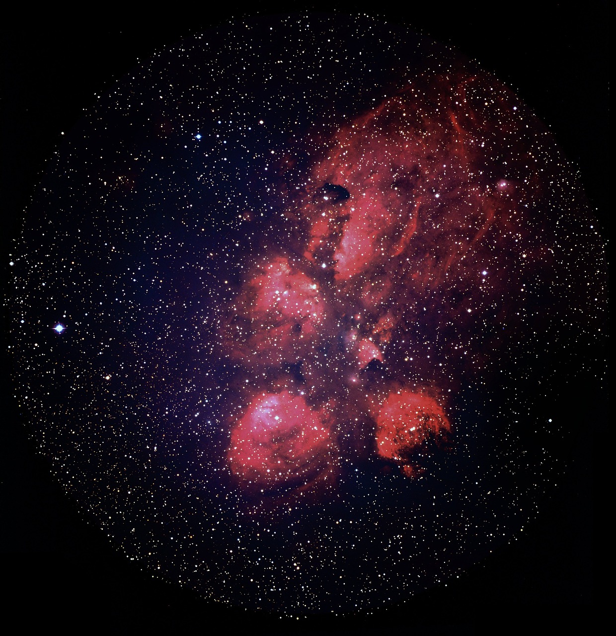 a star filled sky filled with lots of stars, a portrait, by William Powhida, deep colour\'s, red and purple nebula, taken through a telescope, nebulous bouquets