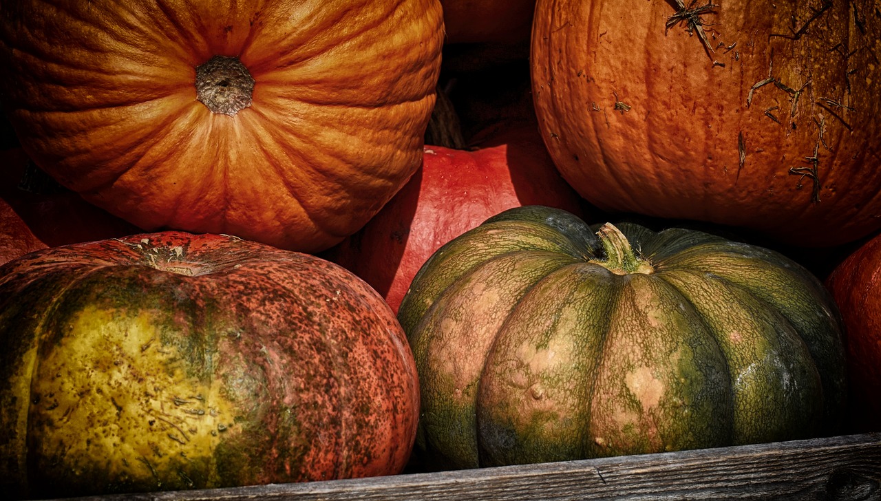 a wooden box filled with lots of different types of pumpkins, a photo, by Stefan Gierowski, renaissance, hdr detail, 🦩🪐🐞👩🏻🦳, sunday afternoon, red and green