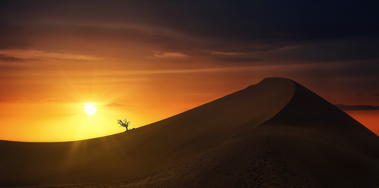 a person standing on top of a sand dune, by Matthias Weischer, pexels contest winner, sumatraism, backlit!!, lonely tree, asian sun, today\'s featured photograph 4k