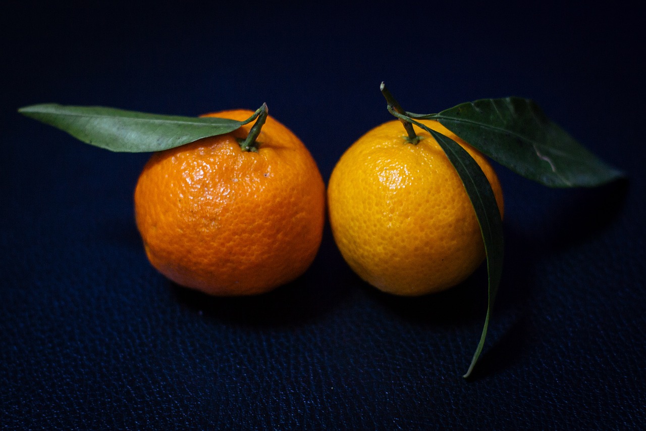 two oranges sitting next to each other on a blue surface, a still life, by Etienne Delessert, unsplash, hyperrealism, shot on 1 6 mm, けもの, adult pair of twins, fubuki