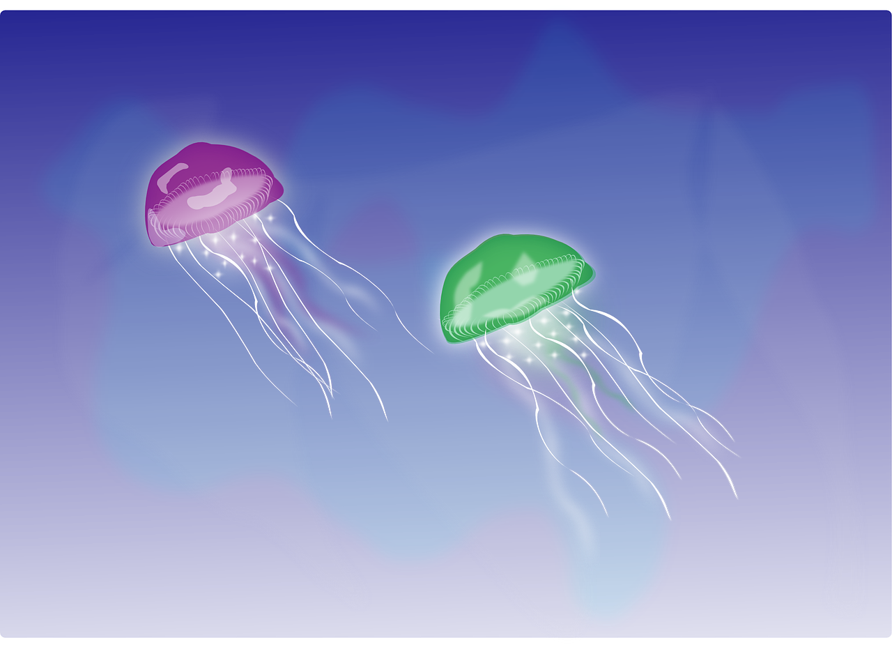 a couple of jellyfishs floating next to each other, a digital rendering, by Tom Carapic, cel - shaded art style, colored accurately, nighttime!, drawn in microsoft paint