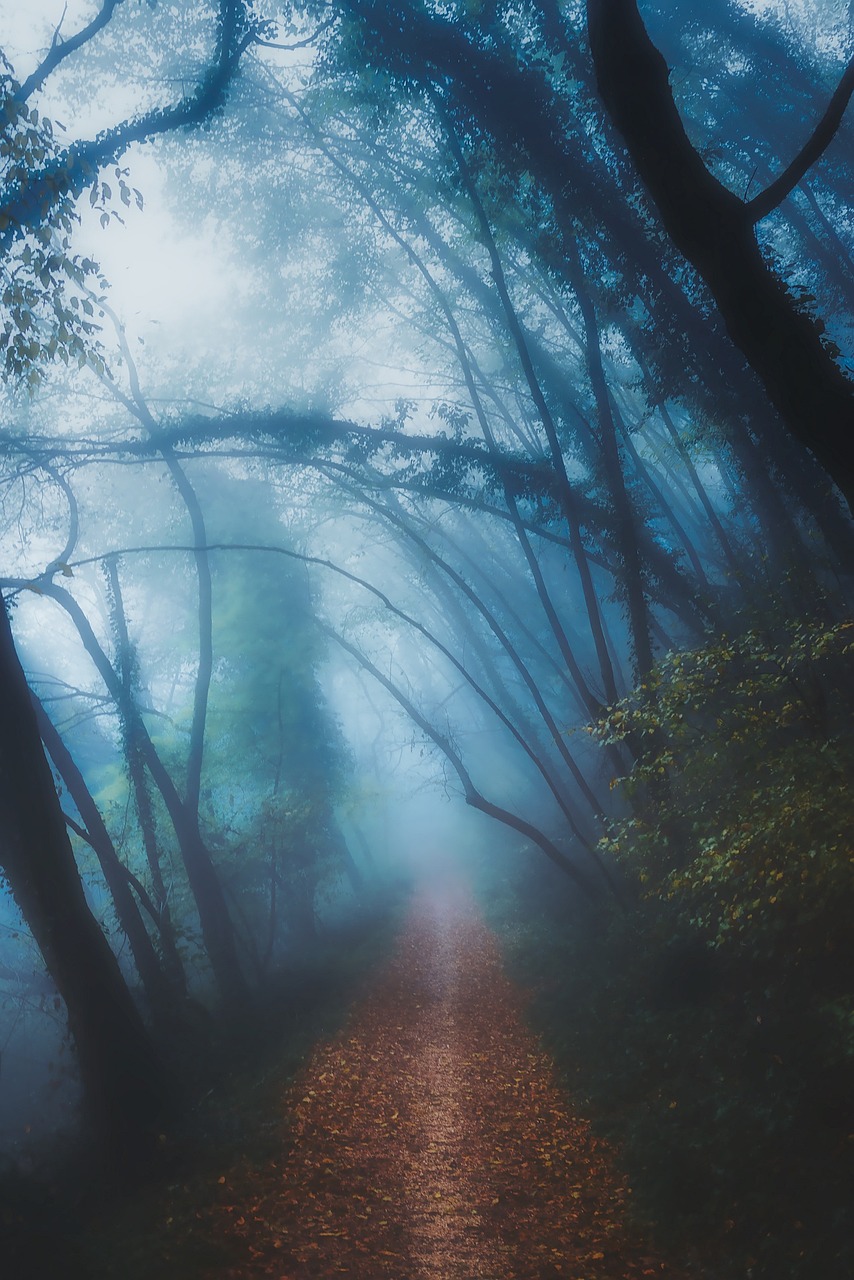 a path in the middle of a forest on a foggy day, romanticism, mystical blue fog, eerie colors, surreal canopy, moonlit forest environment