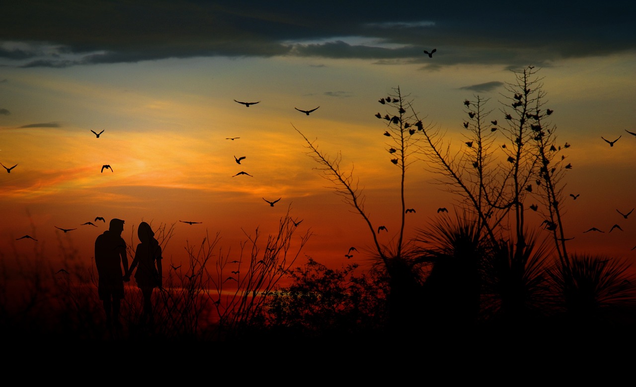 a couple of people that are standing in the grass, by Linda Sutton, flickr, romanticism, sunset panorama, birds in flight, florida, night!