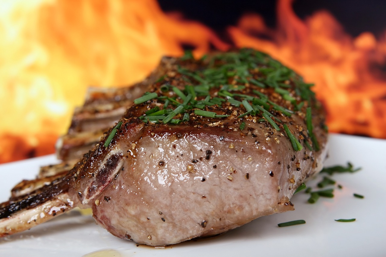 a piece of meat sitting on top of a white plate, a picture, by Steven Belledin, pixabay, renaissance, roaring fire, close up angle, avatar image, savanna