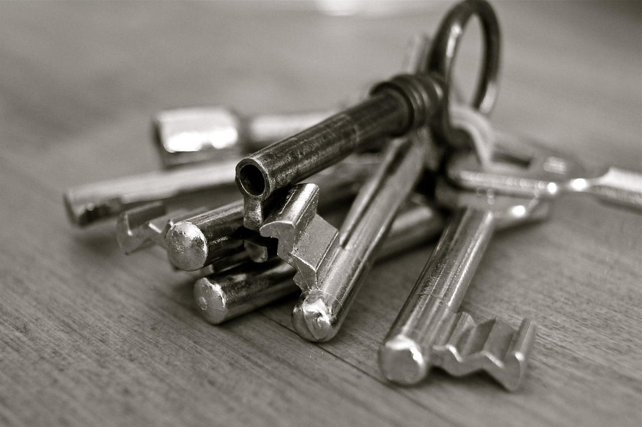 a bunch of keys sitting on top of a wooden table, a photo, precisionism, doors, highly polished, contrasts, stems