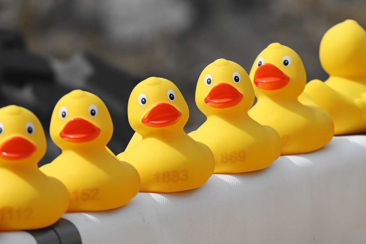 a row of rubber ducks lined up in a row, precisionism, diy, rails, technical, rubber