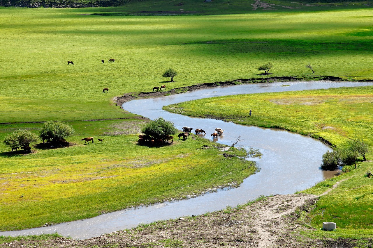 a river running through a lush green field, by Arthur Sarkissian, flickr, hurufiyya, cows, cinematic silk road lanscape, springtime morning, highcontrast