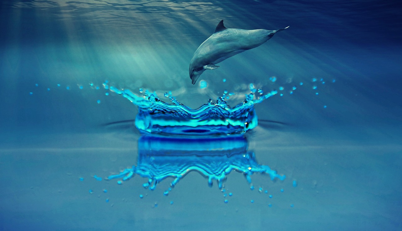 a dolphin is jumping out of the water, a digital rendering, shutterstock contest winner, romanticism, water refractions!!, c 4 d ”, beautiful iphone wallpaper, iray