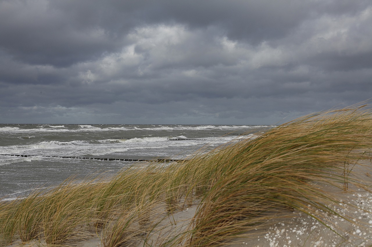 a person flying a kite on top of a sandy beach, inspired by Andreas Achenbach, romanticism, long thick grass, stormy ocean, last photo, november