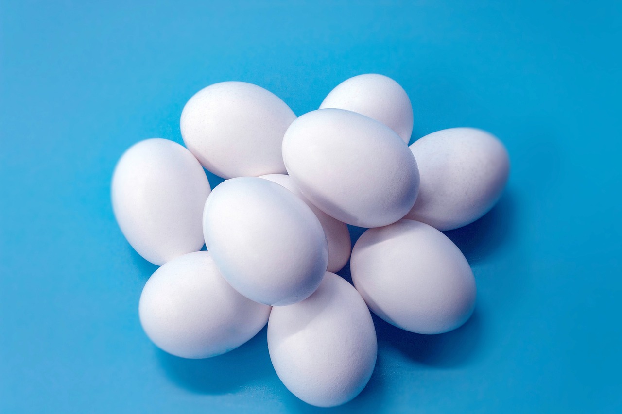 a bunch of white eggs on a blue surface, by Juan O'Gorman, photostock, 2000s photo