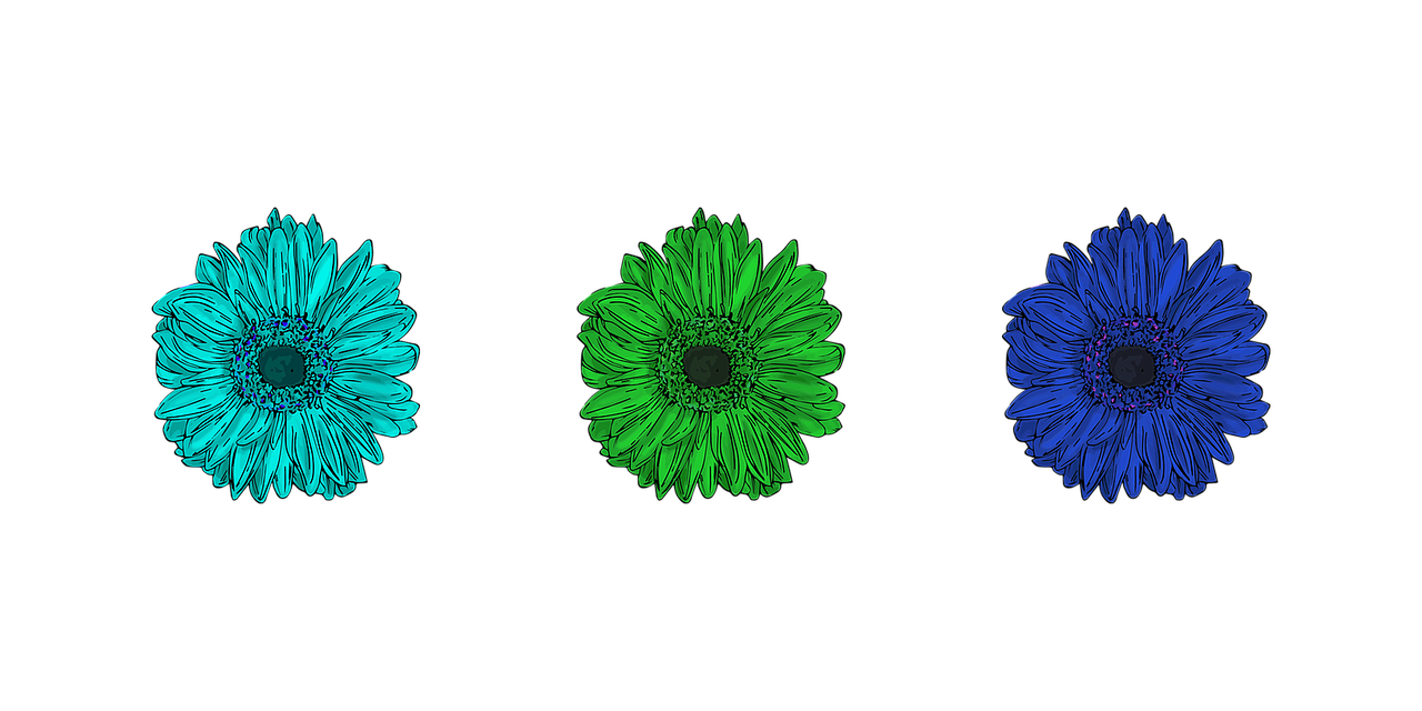 three different colored flowers on a black background, a digital painting, by Andrei Kolkoutine, unsplash, digital art, green and blue colors, giant daisy flowers head, corporate animation style, tones of blue and green