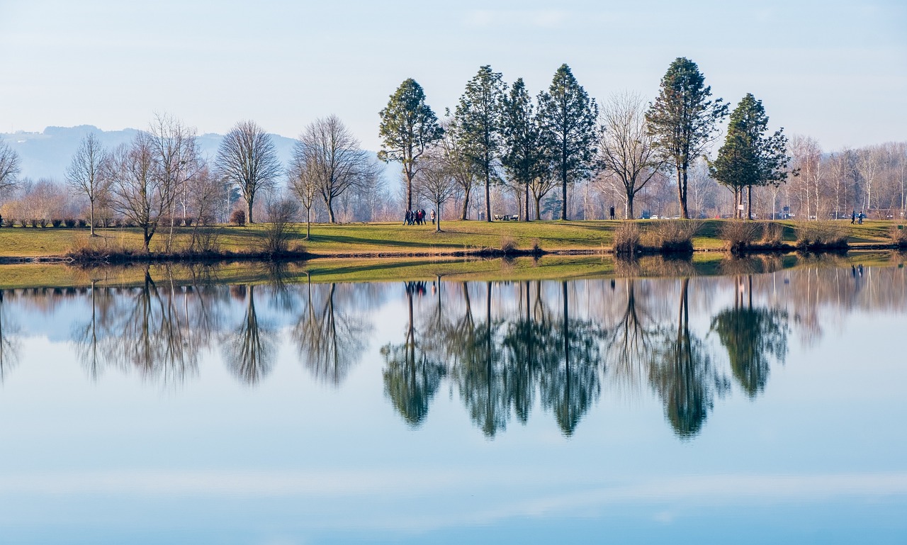 a large body of water surrounded by trees, a picture, by Etienne Delessert, shutterstock, folk art, chrome reflections, golf course in background, sparse winter landscape, 1128x191 resolution