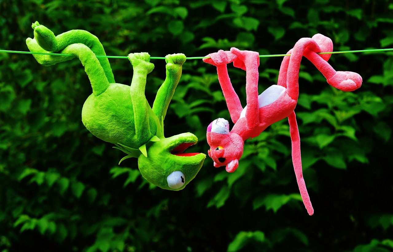 two stuffed animals hanging on a clothes line, a picture, by Hans Schwarz, pexels, kermit the frog, pink and red colors, jumping flying and eating frogs, anthropomorphic praying mantis