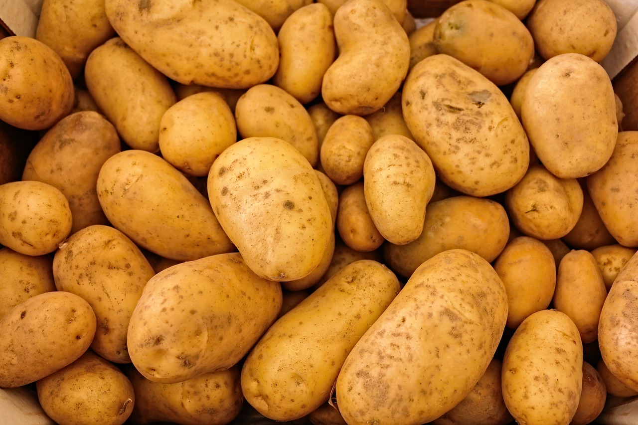a pile of potatoes sitting on top of a table, a picture, shutterstock, exploitable image, michigan, stock photo