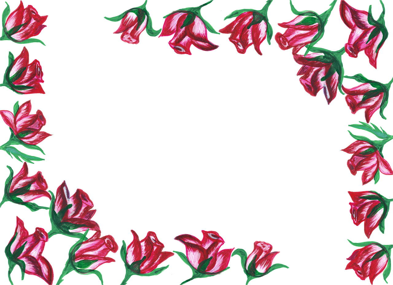 a frame of red flowers on a black background, a digital painting, rough color pencil illustration, rose background, simple background, rotated left right front back
