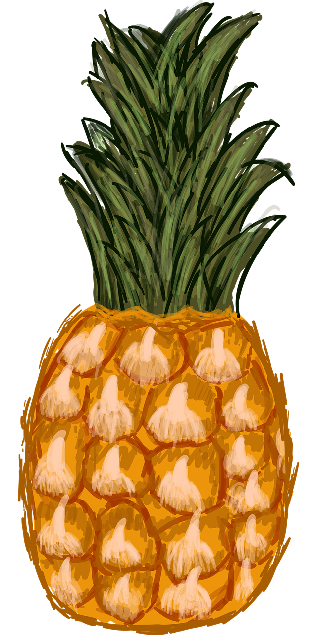 a close up of a pineapple on a black background, a digital painting, by Ben Thompson, process art, cartoon illustration, iphone photo, very accurate photo, sketch illustration