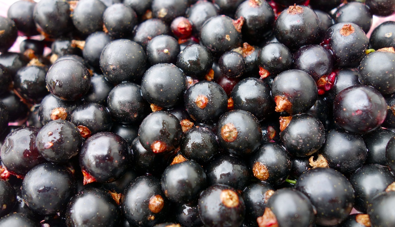 a pile of blackberries sitting on top of a table, a photo, hurufiyya, mangosteen, avatar image, sichuan, close-up photo