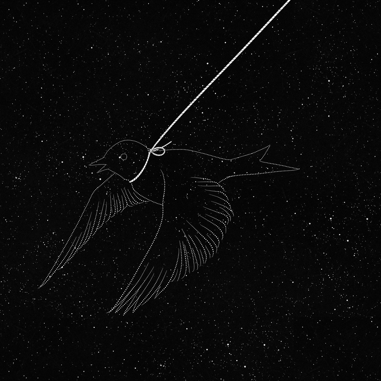 a black and white drawing of a bird on a string, an engraving, tumblr, minimalism, in deep space, phone wallpaper, swift, underneath the stars