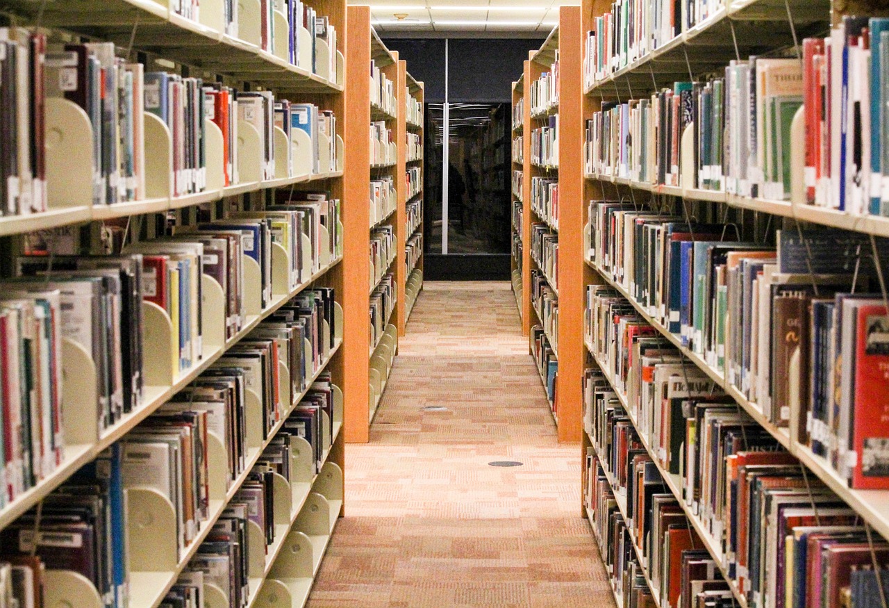 a long row of books on shelves in a library, flickr, albuquerque, grand library, during the night, ground - level view