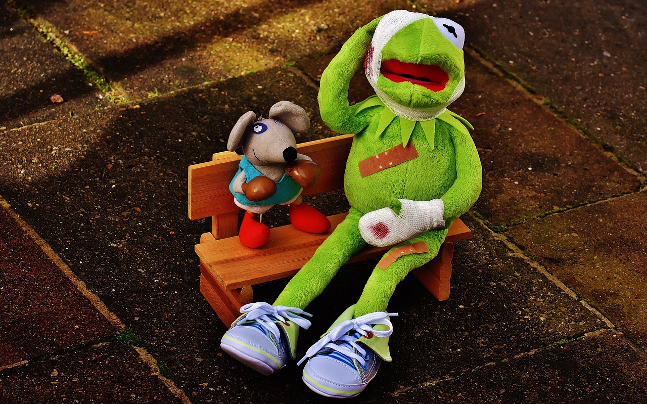a stuffed animal sitting on top of a wooden bench, a picture, flickr, happening, kermit, fight, sneaker photo, anthropomorphic!!