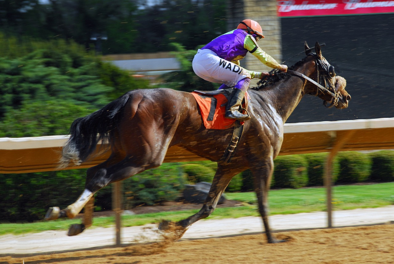 a man riding on the back of a brown horse, a photo, by Tom Carapic, pexels, photorealism, on a racetrack, draped in purple and gold silk, washington dc, 2223194009
