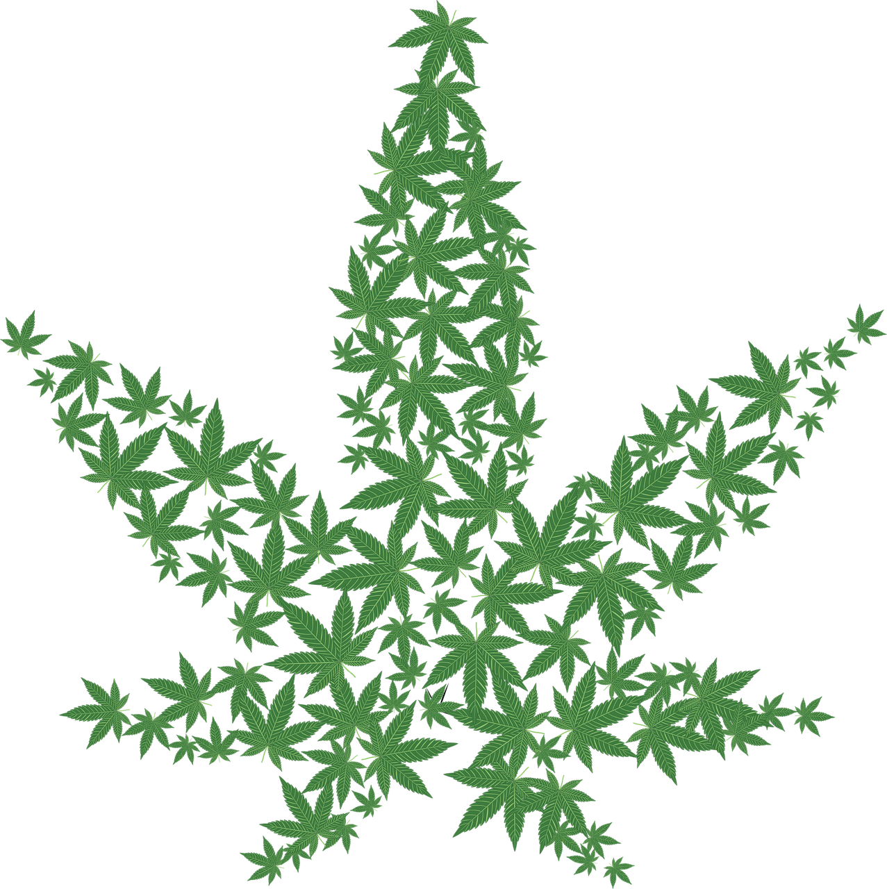 a green marijuana leaf on a black background, inspired by Mary Jane Begin, pixabay, digital art, made of flowers and leaves, 2 0 5 6 x 2 0 5 6, stylized silhouette, ivy vine leaf and flower top