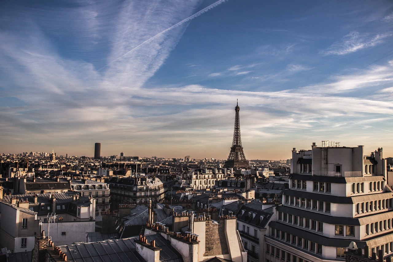 a view of the eiffel tower from the top of a building, by Etienne Delessert, pexels, wikimedia commons, skyline view from a rooftop, la nouvelle vague, tiny smokes from buildings