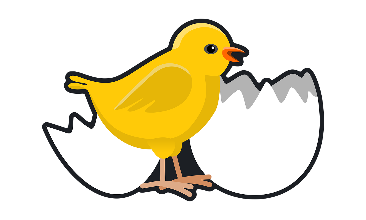 a yellow bird standing on top of an egg, an illustration of, by David Budd, pixabay contest winner, on a flat color black background, children\'s illustration, chicken, broody