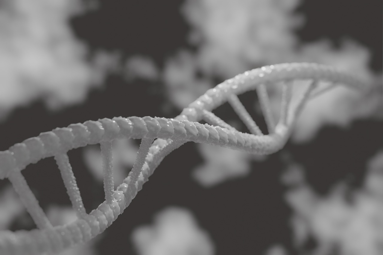 a black and white photo of a strand of dna, by Adam Marczyński, pexels, generative art, 1024x1024, straps, close up. macro. hyper realistic, realistic depiction