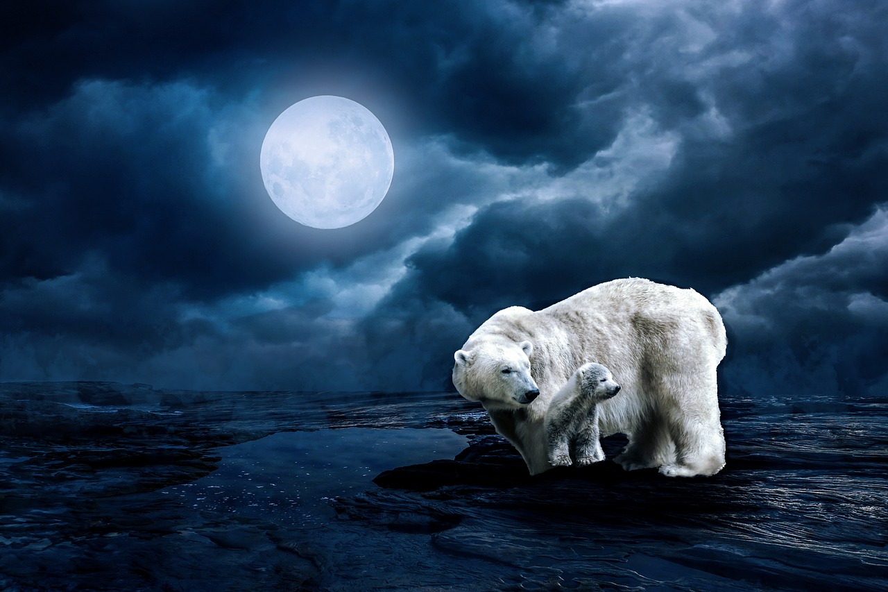 a couple of polar bears standing on top of a body of water, a stock photo, romanticism, full moon raining night, photo - manipulation, family photo, beautiful and terrifying