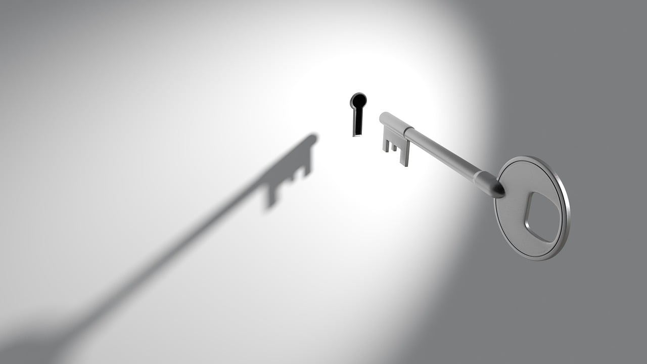a key casting a shadow on a wall, an ambient occlusion render, conceptual art, spying discretly, 4 0 0 mm, metal key for the doors, 2011
