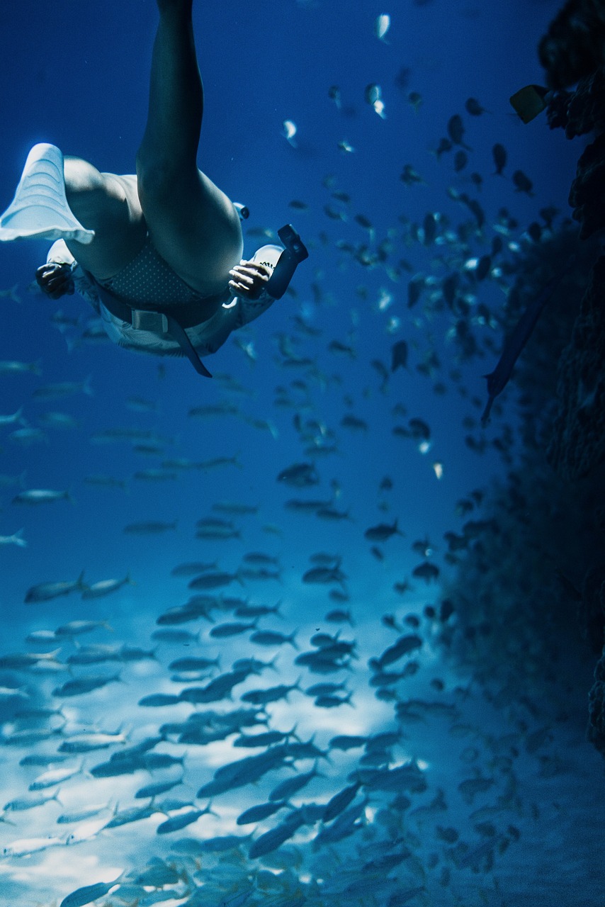 a man swimming in the ocean surrounded by fish, by Robert Jacobsen, unsplash, high resolution film still, a woman floats in midair, 2029, back - shot